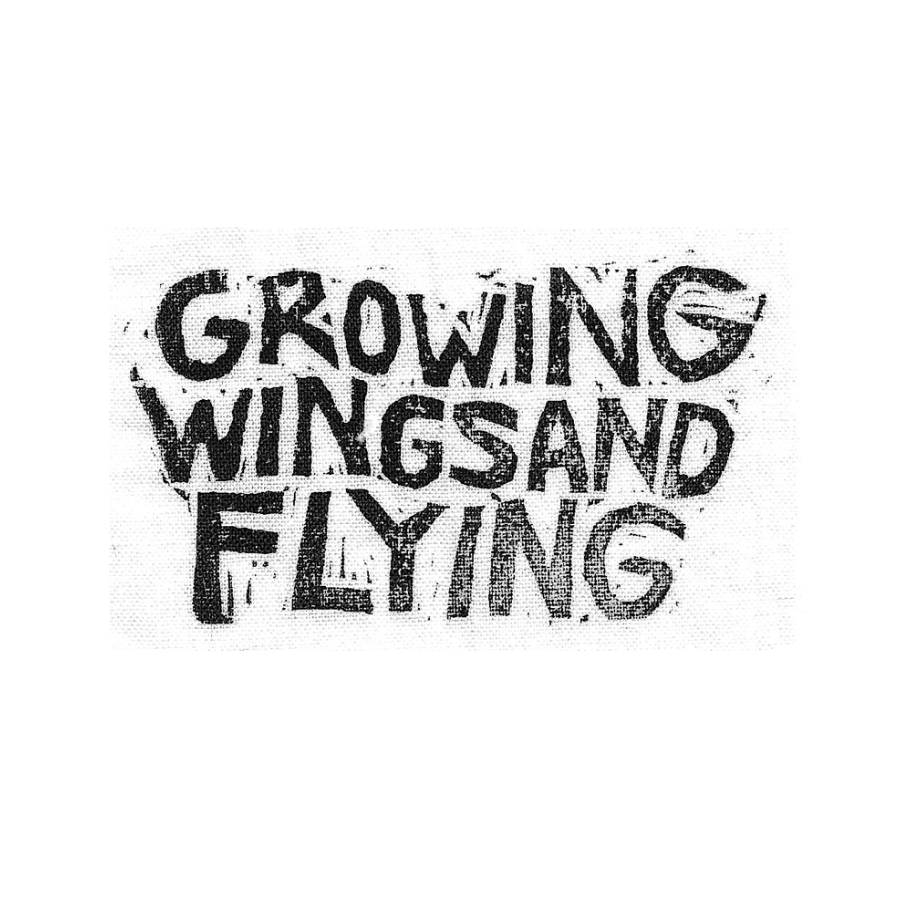 growing wings and flying patch